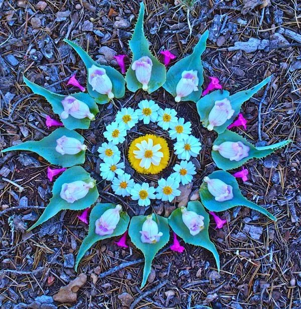 Mandalas: color, relajación y diversión. | Burbujitas de Esperanza
