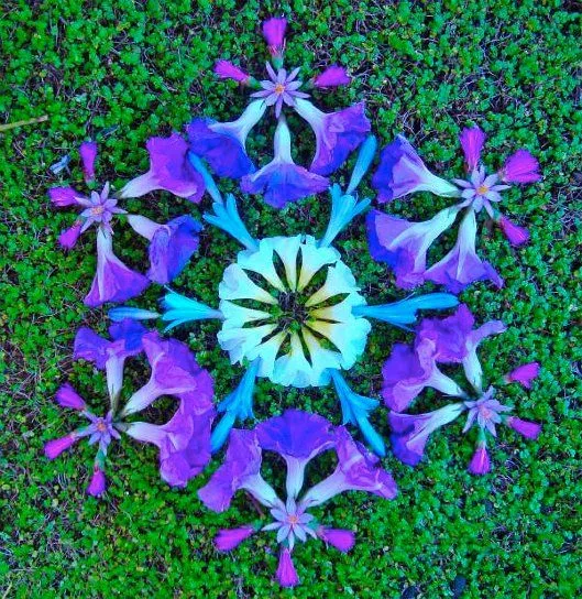 Mandalas de flores naturales | Ikusi batusi Mandalas de flores naturales | Ikusi batusi