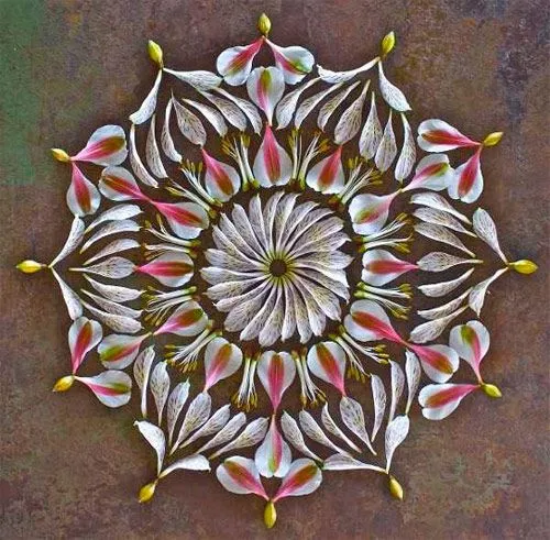 Mandalas de flores naturales | Ikusi batusi Mandalas de flores naturales | Ikusi batusi