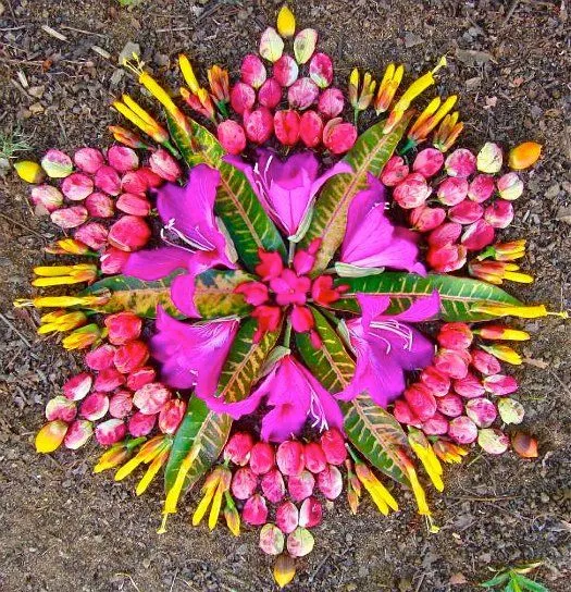 Mandalas de flores naturales | Ikusi batusi Mandalas de flores naturales | Ikusi batusi
