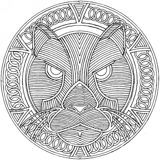 Proceso de Mandala