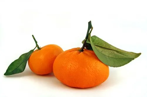 Mandarina en dibujo para colorear - Imagui