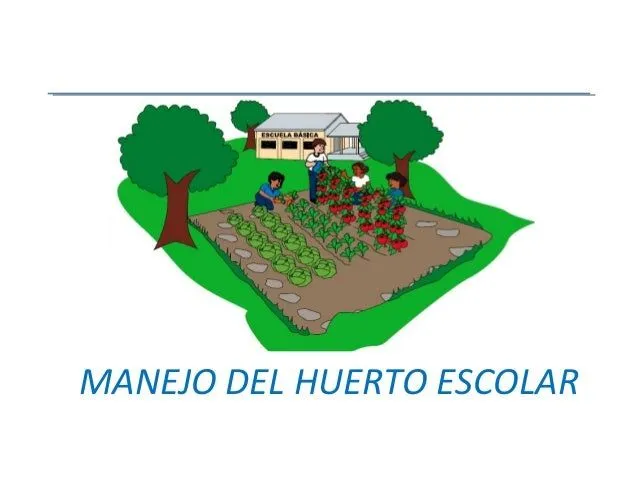 Manejo de huertos escolares