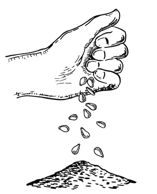 Mano sembrando semillas mano poniendo semillas en el suelo proceso de siembra en estilo boceto sembrando semillas | Vector Premium Mano sembrando semillas mano poniendo semillas en el suelo proceso de siembra en estilo boceto sembrando semillas | Vector Premium