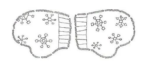 MANOPLAS.jpg%253Fimgmax%253D640