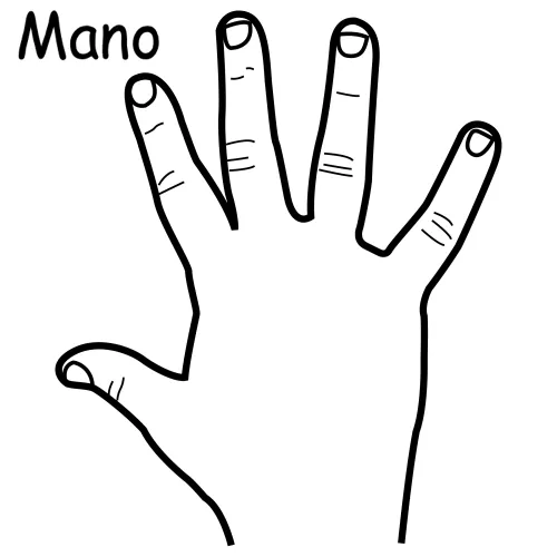 Imagen de una mano para colorear - Imagui
