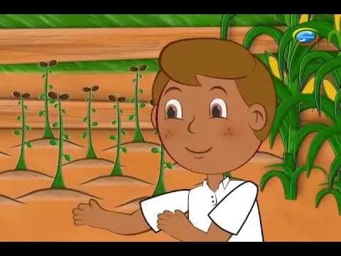 Todas las Manos a la Siembra Huertos Escolares - YouTube Todas las Manos a la Siembra Huertos Escolares - YouTube