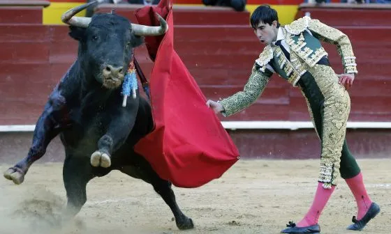 Seis mansos con estampa de toros bravos | Comunidad Valenciana ...