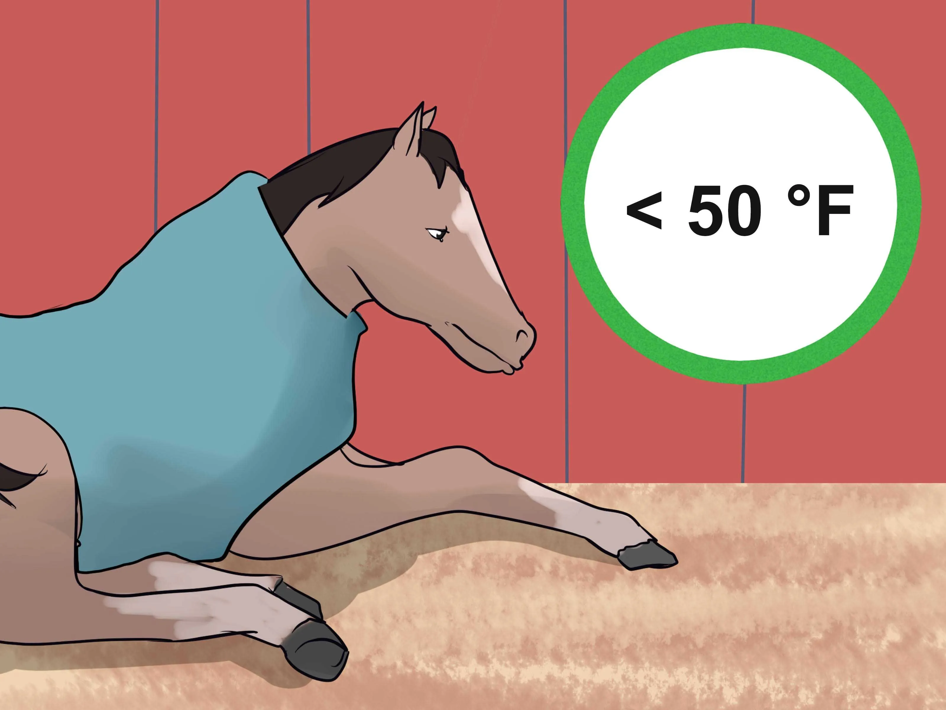 Cómo hacer una manta para caballo: 14 Pasos Cómo hacer una manta para caballo: 14 Pasos