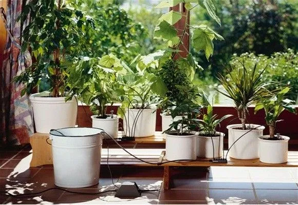 Utilisima luz en casa jardineria - Imagui