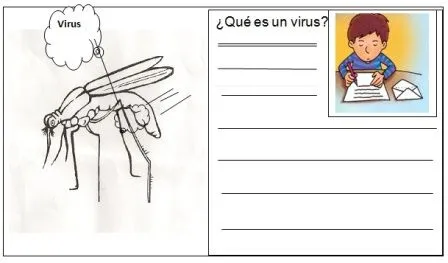 Manual didactico para promover los saberes y conocimientos sobre ... Manual didactico para promover los saberes y conocimientos sobre ...