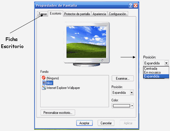Manual de Windows XP (página 2) - Monografias.com