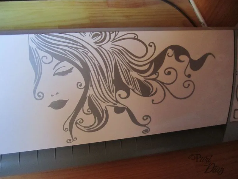 Mis Manualidades y Aficciones: Plotter de corte Mis Manualidades y Aficciones: Plotter de corte