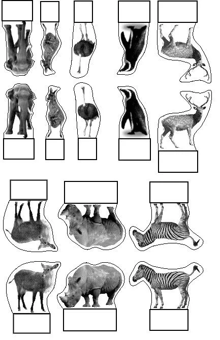 Manualidades del arca de noe - Imagui