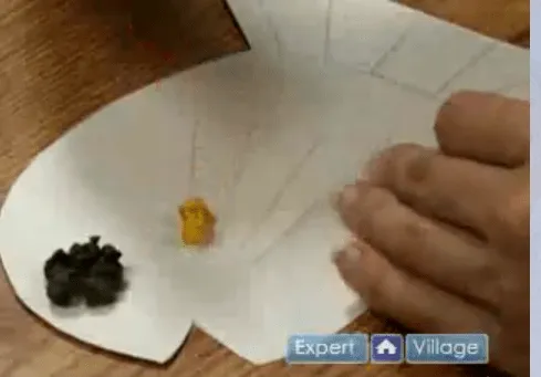 Como hacer un pez de fomi - Imagui