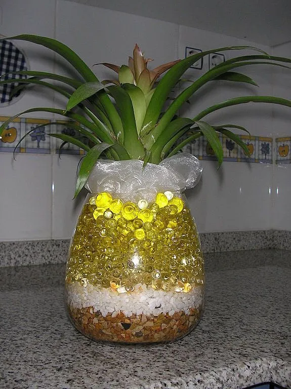 manualidades decorativas (2) | Cuidar de tus plantas es facilisimo. manualidades decorativas (2) | Cuidar de tus plantas es facilisimo.