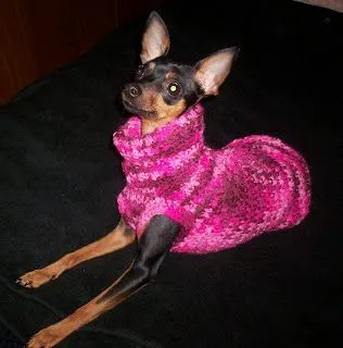  ... MANUALIDADES, MUCHO RECICLAJE Y MÁS: ROPA PARA PERROS EN PUNTO TELA