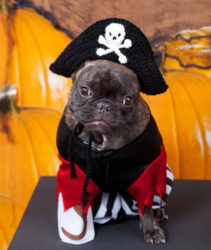Manualidades y tendencias: Halloween: Patrones gratis de disfraces ... Manualidades y tendencias: Halloween: Patrones gratis de disfraces ...