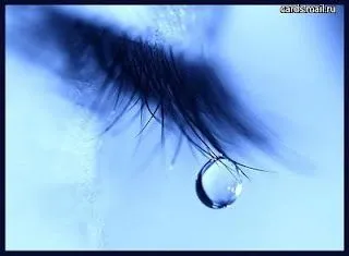 MANUEL ERES LUZ: noviembre 2009