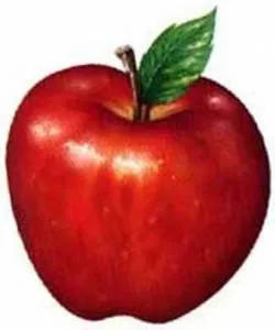 La manzana: el fruto prohibido que está bueno - Vera´s Soul La manzana: el fruto prohibido que está bueno - Vera´s Soul