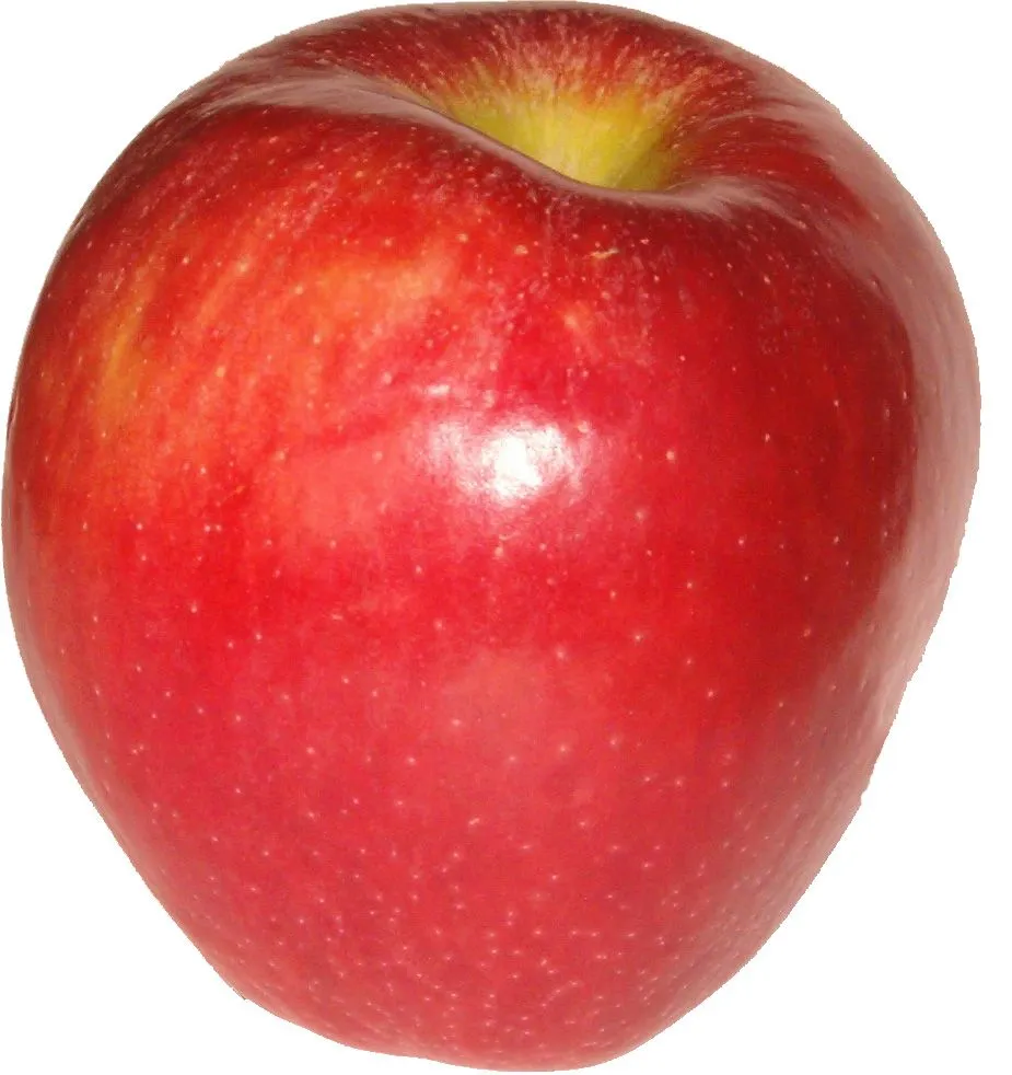 manzana una manzana posee gran cantidad de antioxidantes que ayudan manzana una manzana posee gran cantidad de antioxidantes que ayudan