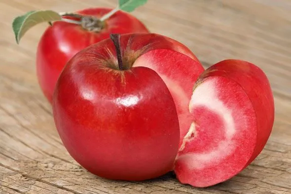 Una manzana nueva!!! | Apuntes de Cocina y algo más Una manzana nueva!!! | Apuntes de Cocina y algo más