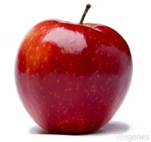 Manzana roja.
