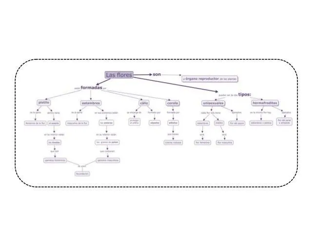 mapa-conceptual-de-las-flores- ...