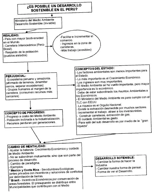MAPA CONCEPTUAL/ ¿ES POSIBLE UN DESARROLLO EN EL