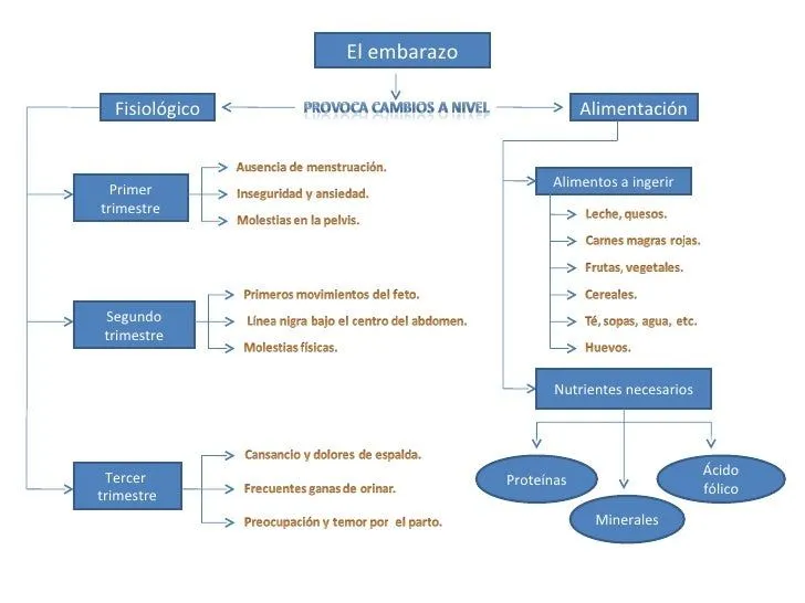 Mapa conceptual y objetivos.