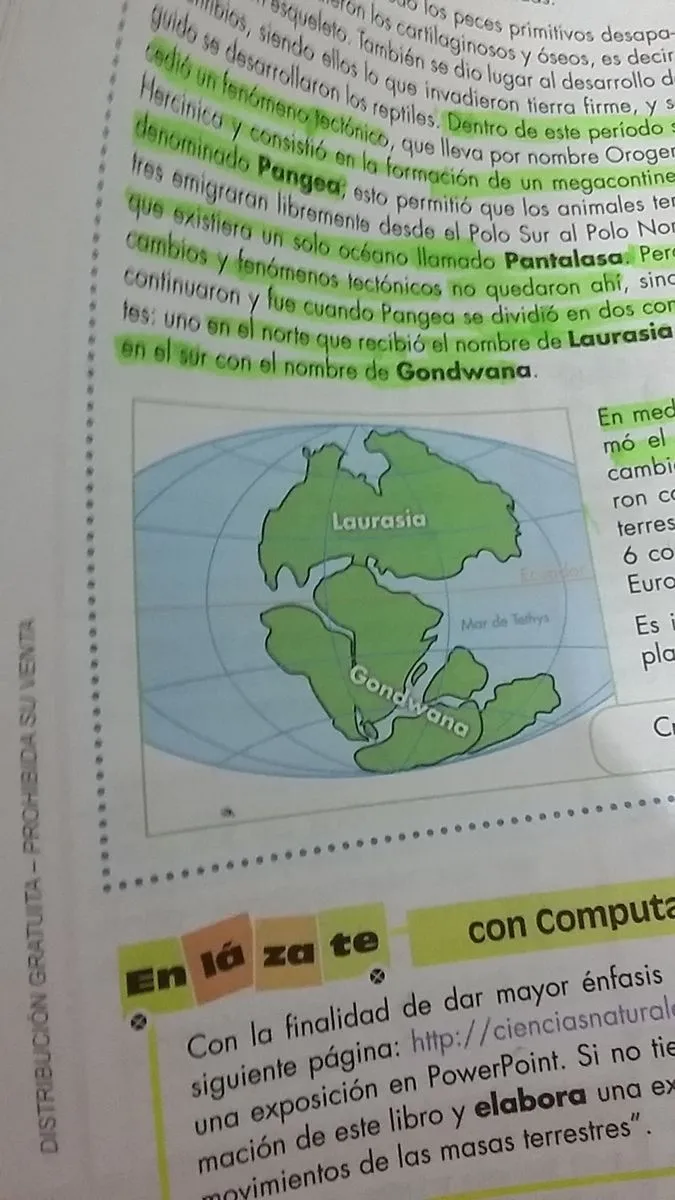 que Mapa tendré que dibujar de la división de pangea colocando su respectivo continente este de a qui - Brainly.lat que Mapa tendré que dibujar de la división de pangea colocando su respectivo continente este de a qui - Brainly.lat