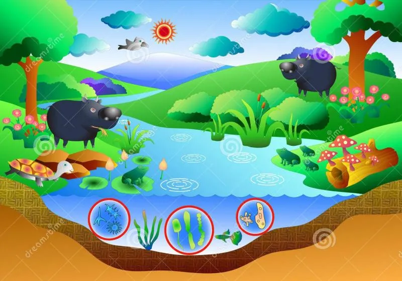 Mapa Interactivo: FACTORES BIÓTICOS Y ABIÓTICOS (biología - Primer año - Educación media - ecosistema) Mapa Interactivo: FACTORES BIÓTICOS Y ABIÓTICOS (biología - Primer año - Educación media - ecosistema)
