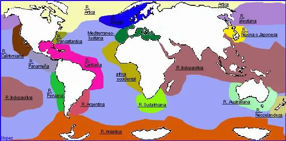 mapa1.jpg