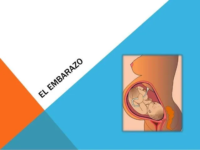 Mapa mental el embarazo - nohexy silva