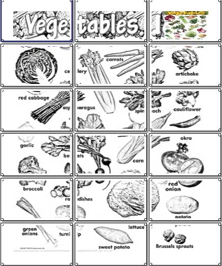 MAPA MURAL LOS VEGETALES EN INGLÉS 3X6 HOJA LEGAL « PARA JEFATURAS ...