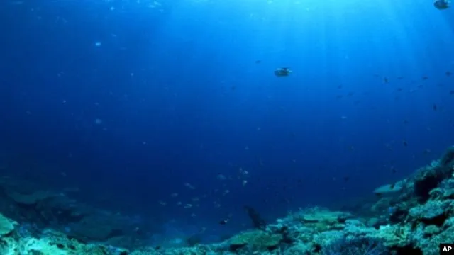 Nuevo mapa oceánico trazado desde el espacio