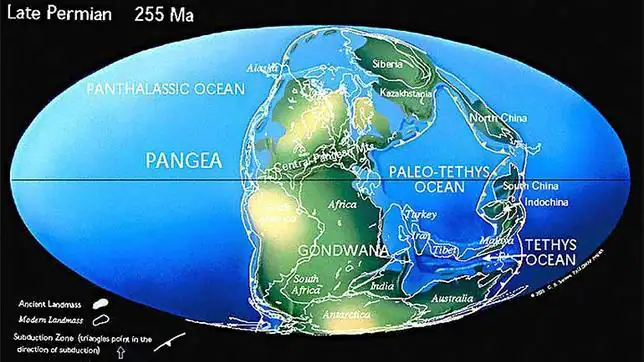 Mapa de Pangea basado en el elaborado por Christopher R. Scotese ... Mapa de Pangea basado en el elaborado por Christopher R. Scotese ...
