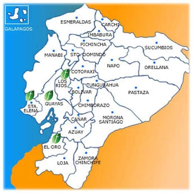 Mapa del ecuador para colorear por regiones - Imagui