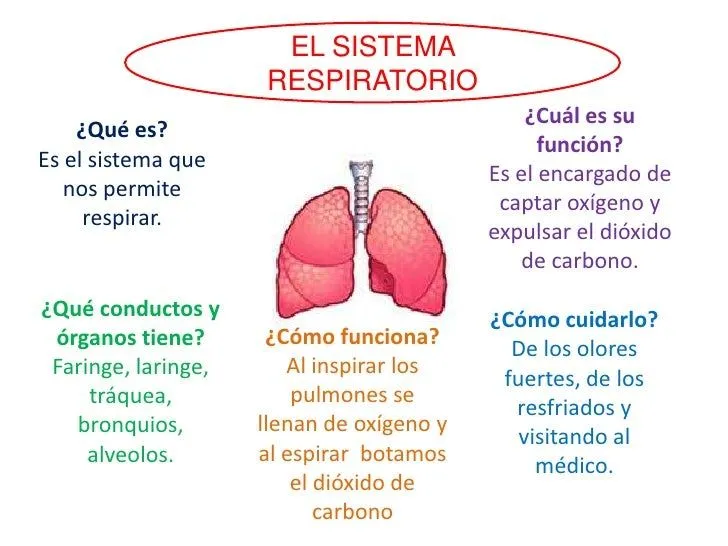 mapa-semntico-del-sistema- ...