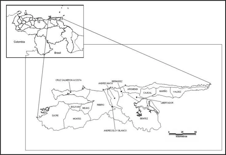 Mapa del estado Sucre y sus municipios, nororiente de Venezuela. | Download  Scientific Diagram en 2023 | Mapas, Venezuela, Municipio
