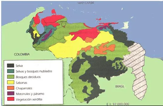 Geografía | elchiguiredevenezuela