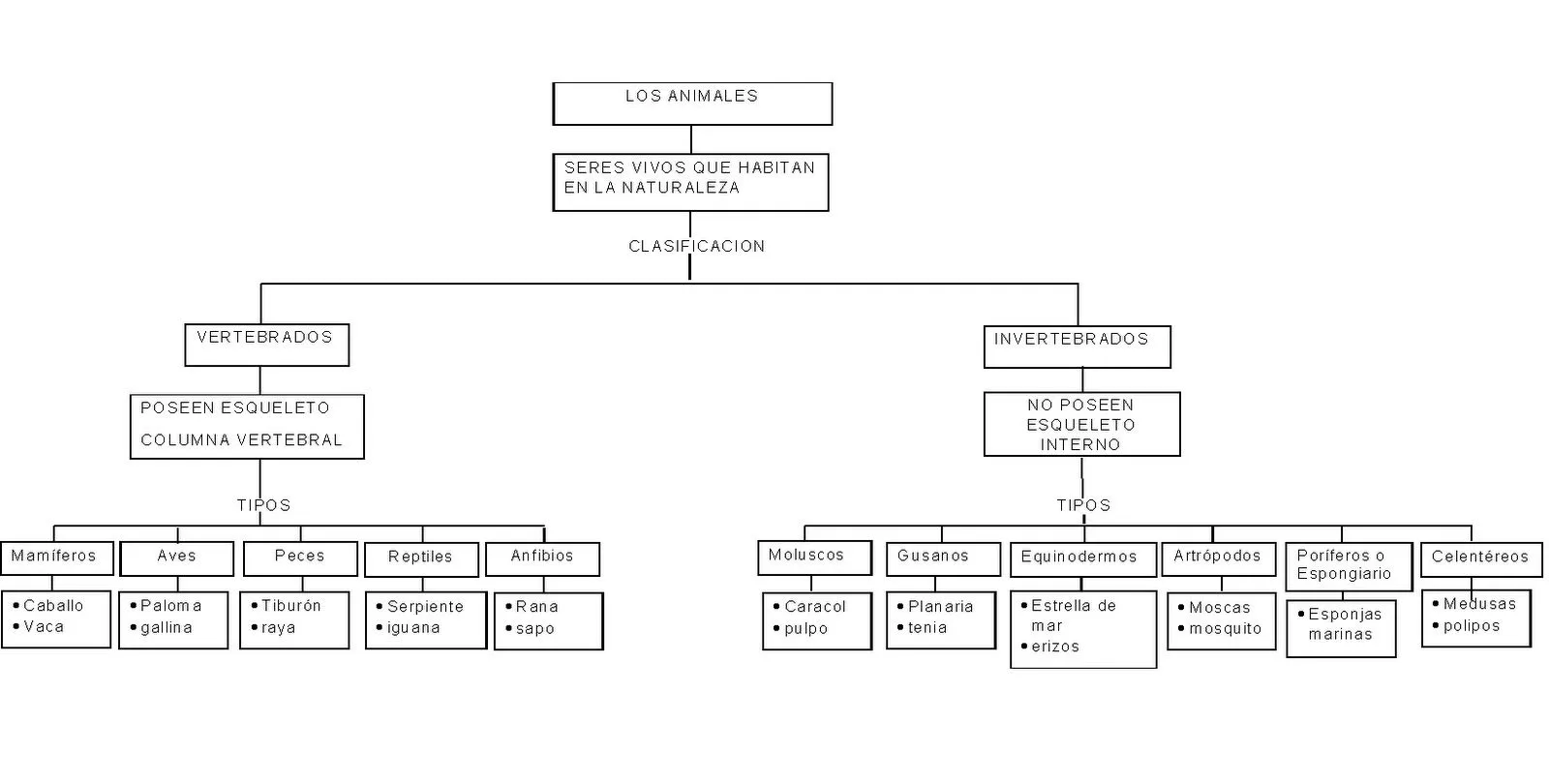 mapas conceptuales
