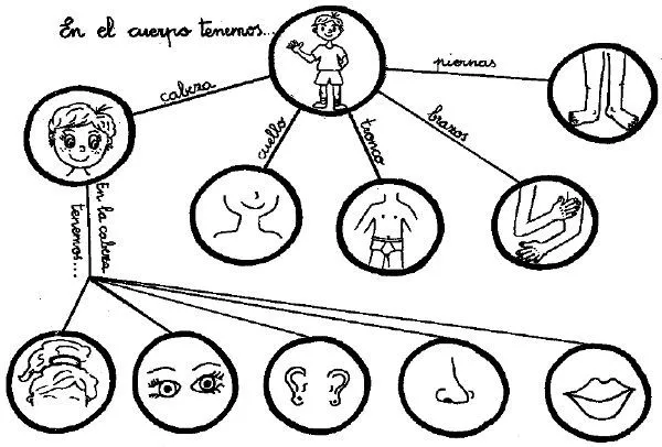 Mapas conceptuales en educación con software libre o, al menos ...