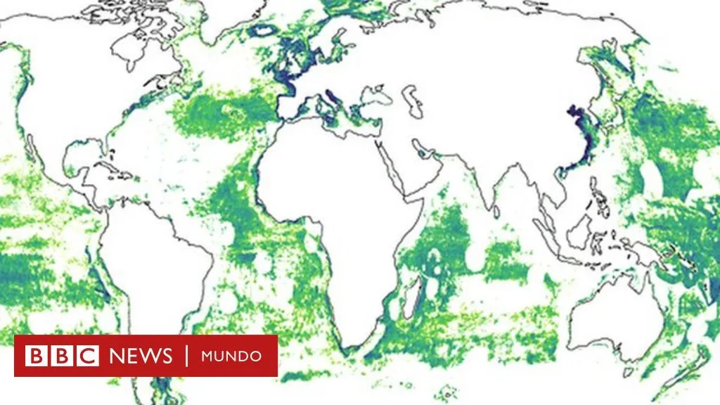 Los mapas que muestran cómo solo 5 países acaparan el 85% de la pesca industrial del mundo - BBC News Mundo Los mapas que muestran cómo solo 5 países acaparan el 85% de la pesca industrial del mundo - BBC News Mundo