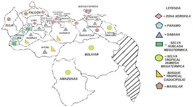 Mapas de Venezuela: 04/