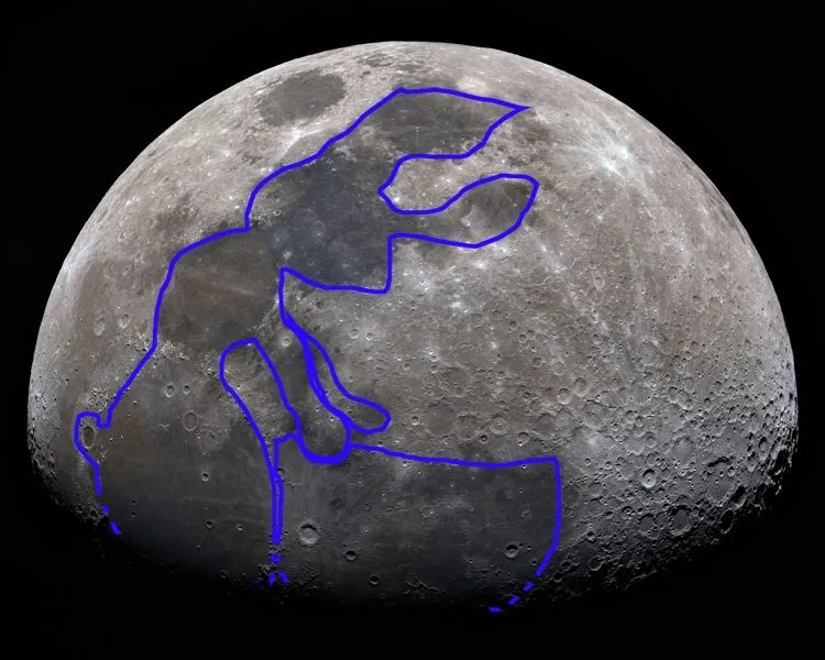 Conejo animada - Imagui
