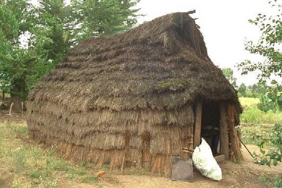 los mapuches digitales: septiembre 2010