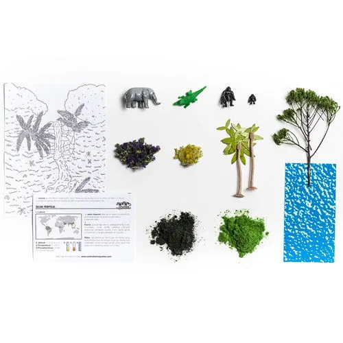 Maqueta Bioma terrestre selva tropical | Lumen Maqueta Bioma terrestre selva tropical | Lumen
