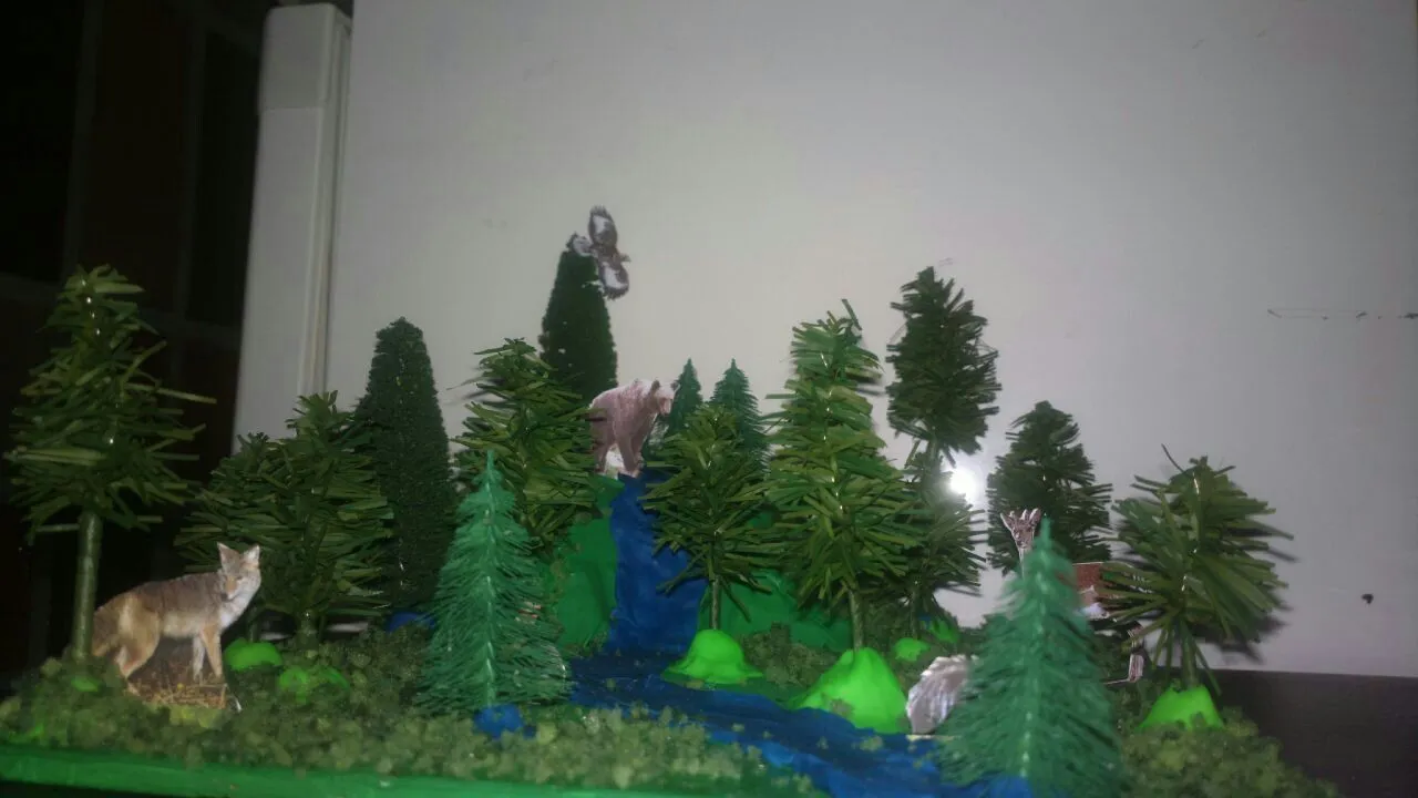 Maqueta de bósque | Maquetas de bosques, Bosque, Maquetas Maqueta de bósque | Maquetas de bosques, Bosque, Maquetas