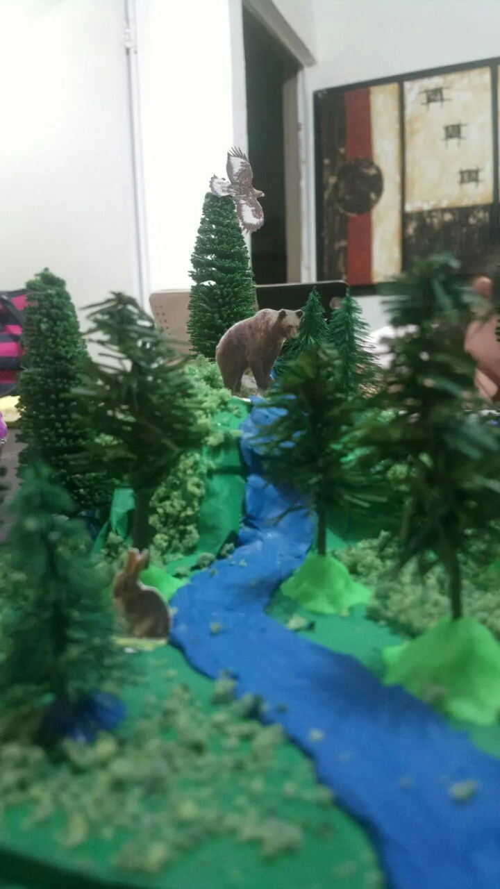 Maqueta de bósque | Maquetas de bosques, Maquetas de ecosistemas, Maquetas faciles Maqueta de bósque | Maquetas de bosques, Maquetas de ecosistemas, Maquetas faciles